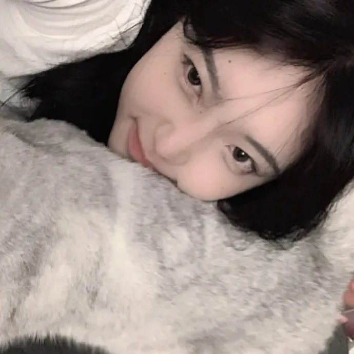 飞起来吧蝴蝶