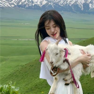 重装救援：全境猎杀